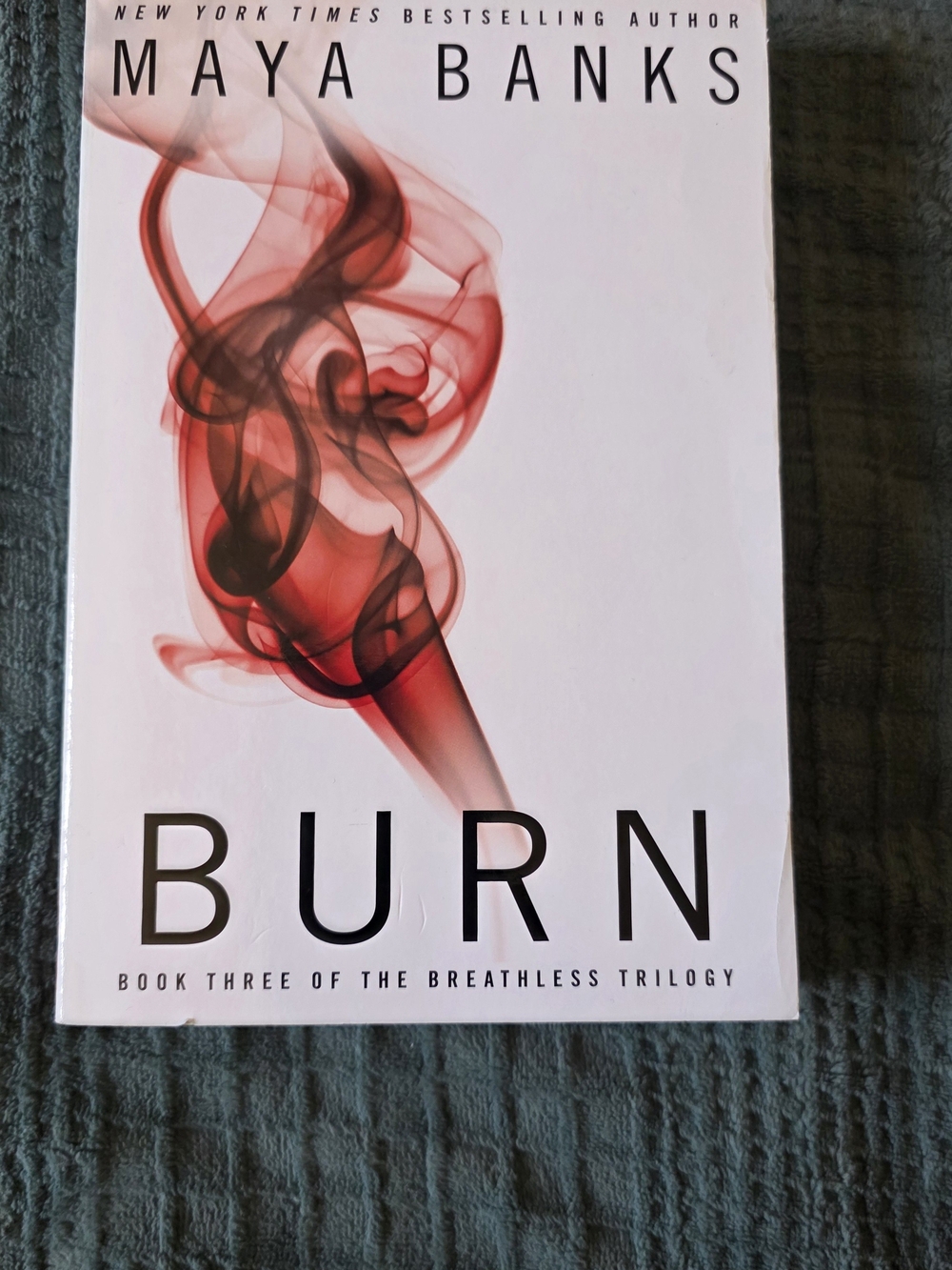 Burn - Maya Banks